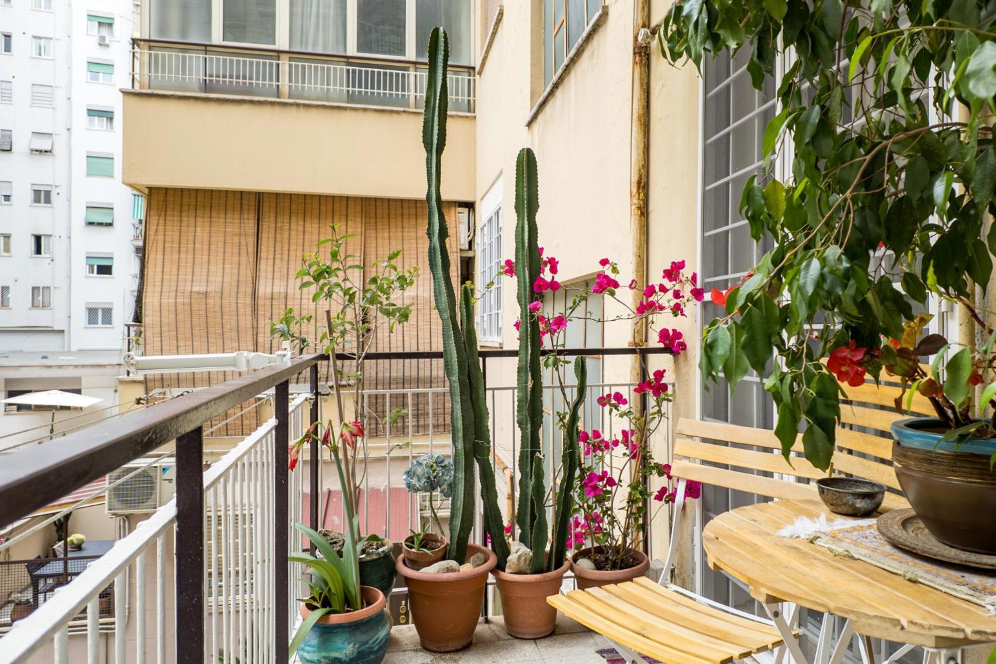 Appartamento Roma Centro ภายนอก รูปภาพ